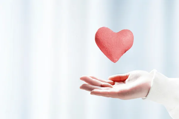 セラミックの保証制度あり（5年）